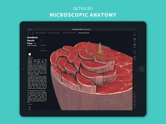 Complete Anatomy 2023 android App screenshot 0