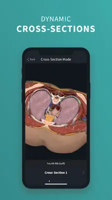 Complete Anatomy 2023 android App screenshot 9