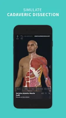 Complete Anatomy 2023 android App screenshot 14