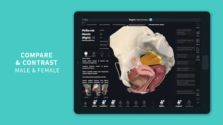 Complete Anatomy 2023 android App screenshot 3